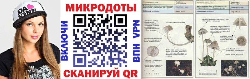 Псилоцибиновые грибы Psilocybine cubensis  Заволжск 